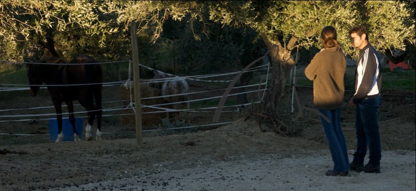 Affiancamento Davide/Dromos